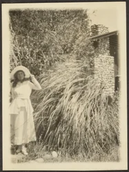 [Florence and Wild Grass]