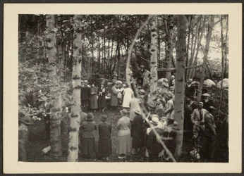 [Group in the Woods]