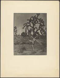 Inspiration till dansen