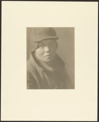 Nötskrika