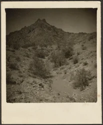 [Landskap]