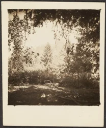 [Landskap]