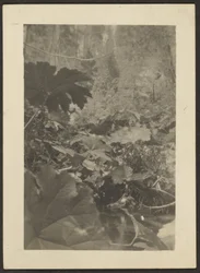 [Landskap]