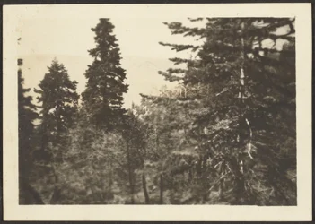 [Landskap]