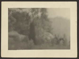 [Landskap]