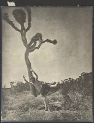 Smidig och graciös - Dansande Joshua