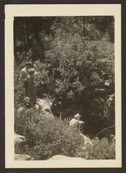 [Våren i Fern Valley]