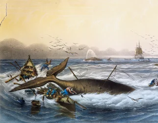 Whaling in South Seas, färglitografi av Louis Lebreton (död 1866)