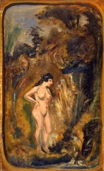 Naken i skogen