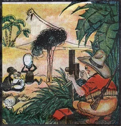 Nestor Fenleroc, europeisk kolon fotograferar en struts i Afrika. 1923 (gravyr)