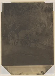 Vagn
