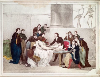 Anatomilektionen (litografi