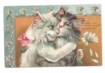 Edwardianskt vykort av två katter som kramar varandra, c.1910