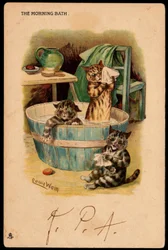 Morgonbadet. Djur i mänsklig ställning. Katter som badar i en bassäng. Vykort. Kromolitografi av Louis Wain (1860-1939), en engelsk konstnär känd för sin skildring av katter med stora ögon. Början av 1900-talet. Samla