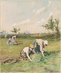 Plockare på fältet