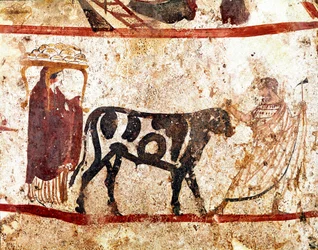 En tjur leds till offeraltaret. Lukansk fresk från 300-talet f.Kr., från Andriuolo-nekropolen i Paestum, Italien. Museo Nazionale Archeologico, Paestum