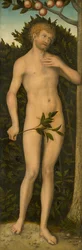 Adam, 153337.