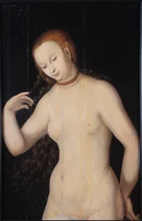 Venus, mellan 1527 och 1531.