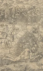 Evas skapelse