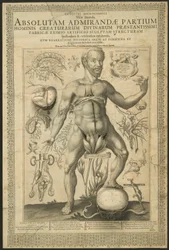 Second Vision, från Mirrors of the Microcosm