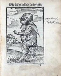 Munkkalven av Freiberg (Das Moenchkalb zu Freiberg), av Cranach, Lucas, den äldre (1472-1553). träsnitt