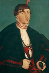 Picha ya vijana noblemanswed