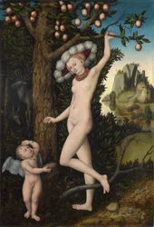 Venus och Amor, ca 1525 (olja på trä)