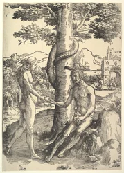 Människans fall, Adam och Eva, ca. 1514.