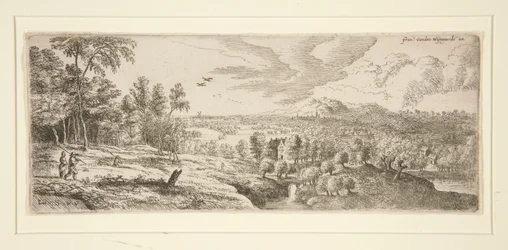 Skog med utsikt över en flod