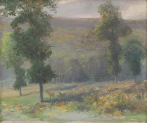 Rådjur i skogen