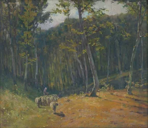 Får i skogen