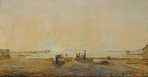 Landskap vid sjön Neusiedl
