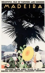 Vackra Isle of Flowers and Sunshine MADEIRA