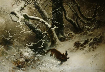 Vinterlandskap