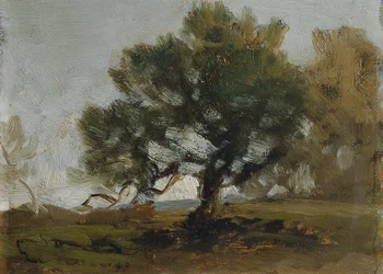 landskap