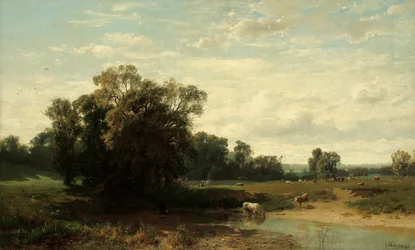 Betesmark i morgonstämning