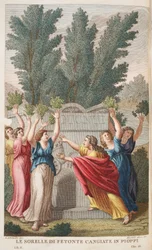 Heliades in i träd som ger bärnsten eller Le Sorelle di Fetonte Cangiante i Pioppi, illustration från Ovidius