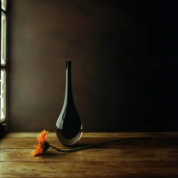 Elegant vas med gerberor – stilleben