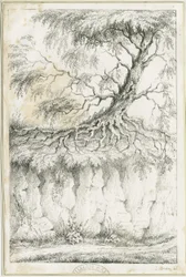 Dudley - Träd: litografi, nd [c 1825] (tryck)