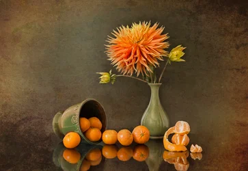 Höstdahlia och mandariner