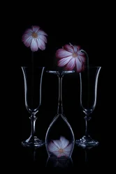 Skira blommor och glasflöjter