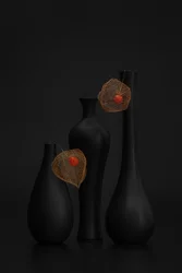 Elegant svart stilleben med lyktsolört