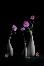 Elegant stilleben med rosenskära