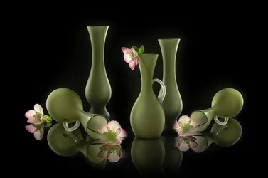 Eleganta vaser och blommor