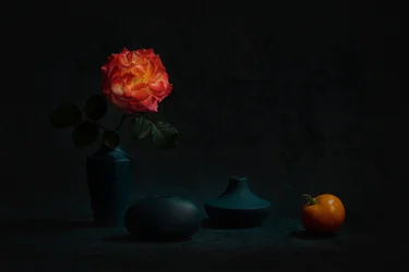 Glödande orange ros