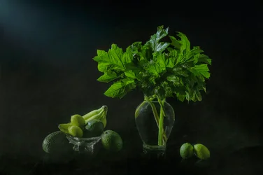 Frodigt botaniskt stilleben