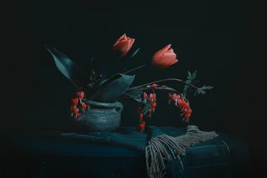 Stämningsfullt blomstermotiv i stilleben