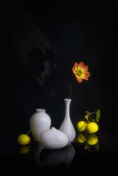 Stämningsfull blomma och frukt