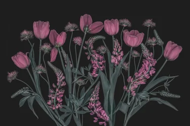 Stämningsfulla rosa blommor
