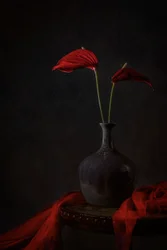 Stämningsfulla röda anthurium